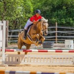 Cayman show jumping team placed third Cayman show jumping team placed third