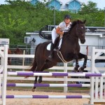 Polly Serpell jumps to the challenge in equestrian event Polly Serpell jumps to the challenge in equestrian event