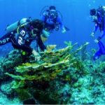 Divers hit the beaches for Earth Day Divers hit the beaches for Earth Day