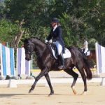 Cayman dressage teams named for Caribbean competition Cayman dressage teams named for Caribbean competition