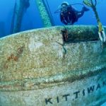 TripAdvisor recognises Kittiwake for excellence TripAdvisor recognises Kittiwake for excellence