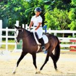 Equestrians ride into new dressage season Equestrians ride into new dressage season