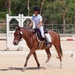 Cayman equestrians set for Caribbean challenge Cayman equestrians set for Caribbean challenge