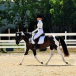 Riders finish strong at season’s last dressage Riders finish strong at season’s last dressage
