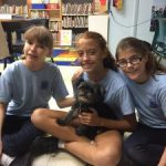 Girl Guides learn about rescuing dogs Girl Guides learn about rescuing dogs
