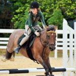 Equestrians jump through last show of season Equestrians jump through last show of season