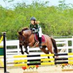 Annual awards name top equestrians Annual awards name top equestrians