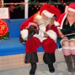 Santa helps support dog-rescue charity Santa helps support dog-rescue charity