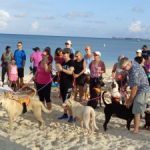 Canine charity looking for help to expand Canine charity looking for help to expand
