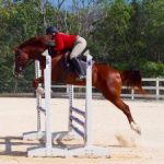 Equestrians put on final jumping show of season Equestrians put on final jumping show of season