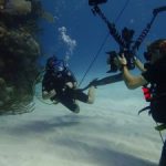 CCMI celebrates World Oceans Day CCMI celebrates World Oceans Day