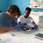 CCMI internships for budding ocean scientists CCMI internships for budding ocean scientists